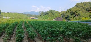 심 영훈님의 자유주제 · 자유게시판 작성글 사진