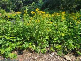 대파8818님의 자유주제 · 자유게시판 작성글 사진