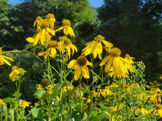 대파8818님의 자유주제 · 자유게시판 작성글 사진