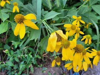 대파8818님의 자유주제 · 자유게시판 작성글 사진