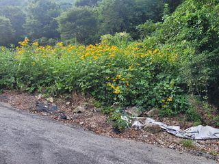 대파8818님의 자유주제 · 자유게시판 작성글 사진