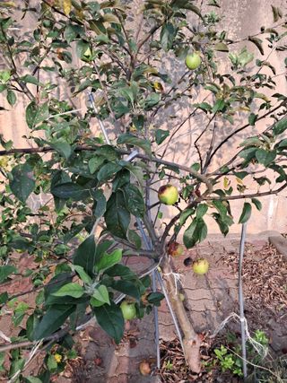 김석현님의 자유주제 · 자유게시판 작성글 사진