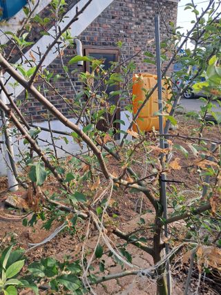 김석현님의 자유주제 · 자유게시판 작성글 사진