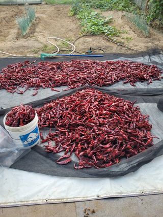 찬균park님의 자유주제 · 자유게시판 작성글 사진