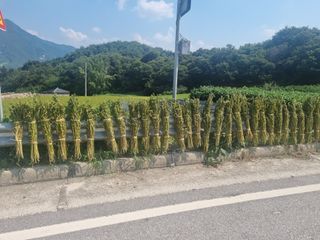 유일기님의 자유주제 · 자유게시판 작성글 사진