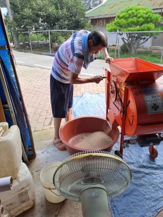 백봉2리밭농사곡식님의 참깨 · 영농일지 작성글 사진