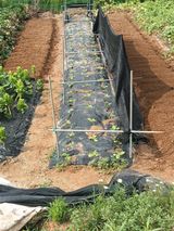 팜모닝 자유주제·자유게시판 게시글 이미지