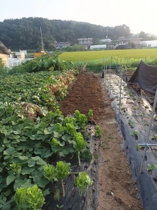 hoonkoo님의 자유주제 · 자유게시판 작성글 사진