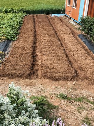 hoonkoo님의 자유주제 · 자유게시판 작성글 사진