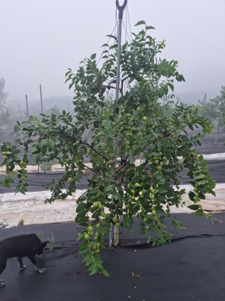 초월농원님의 자유주제 · 자유게시판 작성글 사진