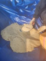 팜모닝 자유주제·자유게시판 게시글 이미지