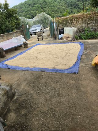 시인의농장님의 자유주제 · 자유게시판 작성글 사진