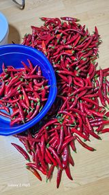 팜모닝 콩·영농일지 게시글 이미지