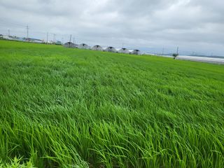 박순례님의 💚우리 동네 자랑하기 · 참여글 작성글 사진