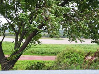 박순례님의 💚우리 동네 자랑하기 · 참여글 작성글 사진