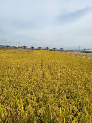 박순례님의 💚우리 동네 자랑하기 · 참여글 작성글 사진