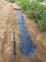 팜모닝 자유주제·자유게시판 게시글 이미지