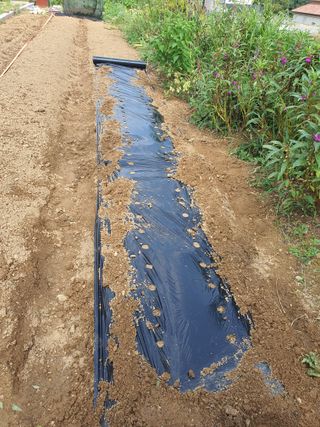 초평매박골(최안규)님의 자유주제 · 자유게시판 작성글 사진