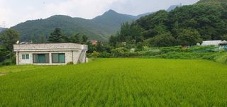 슈퍼맨님의 자유주제 · 자유게시판 작성글 사진