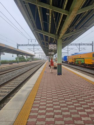 정정애님의 자유주제 · 자유게시판 작성글 사진