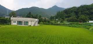 슈퍼맨님의 자유주제 · 자유게시판 작성글 사진