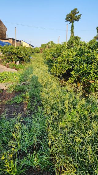 조상균님의 자유주제 · 자유게시판 작성글 사진