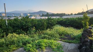 조상균님의 자유주제 · 자유게시판 작성글 사진