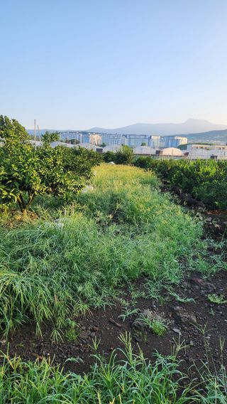 조상균님의 자유주제 · 자유게시판 작성글 사진