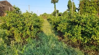 조상균님의 자유주제 · 자유게시판 작성글 사진