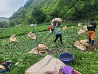 서동일님의 💚우리 동네 자랑하기 · 참여글 작성글 사진
