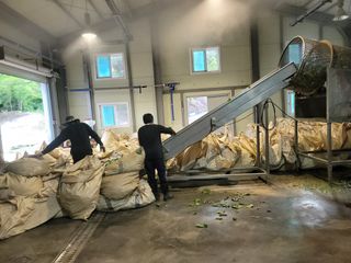 서동일님의 💚우리 동네 자랑하기 · 참여글 작성글 사진