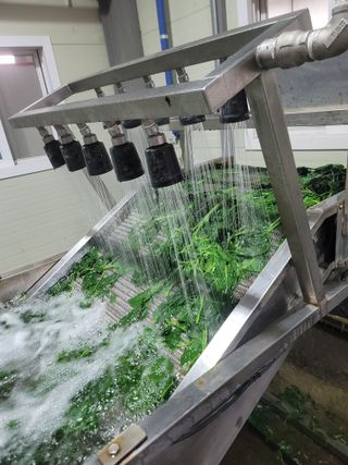 서동일님의 💚우리 동네 자랑하기 · 참여글 작성글 사진