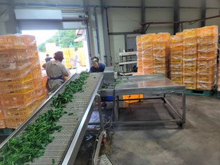 서동일님의 💚우리 동네 자랑하기 · 참여글 작성글 사진