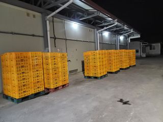 서동일님의 💚우리 동네 자랑하기 · 참여글 작성글 사진