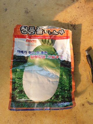 샤이니바다님의 배추 · 영농일지 작성글 사진