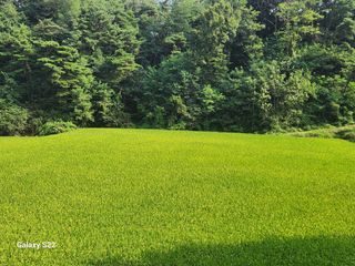이재규님의 자유주제 · 자유게시판 작성글 사진