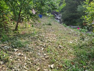 (힐링따오기쉼터)님의 복숭아 · 영농일지 작성글 사진