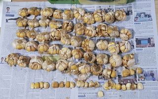 자연으로님의 자유주제 · 자유게시판 작성글 사진