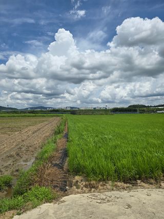 이옥주님의 벼 · 영농일지 작성글 사진