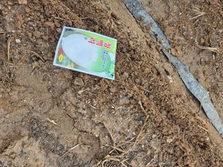 김연숙님의 기타작물 · 영농일지 작성글 사진