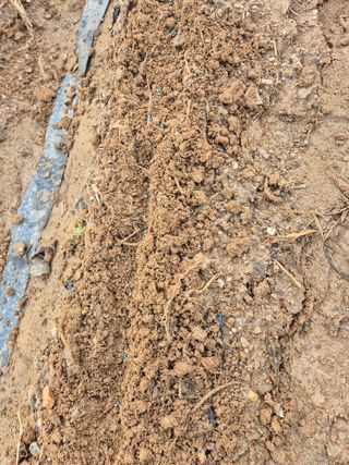 김연숙님의 기타작물 · 영농일지 작성글 사진