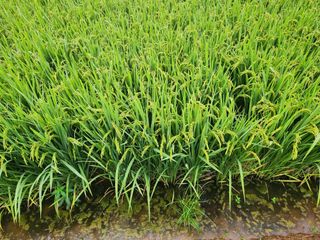 이대석님의 자유주제 · 자유게시판 작성글 사진