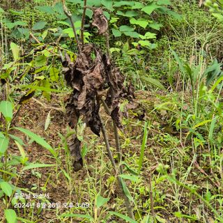 김진님의 자유주제 · 자유게시판 작성글 사진
