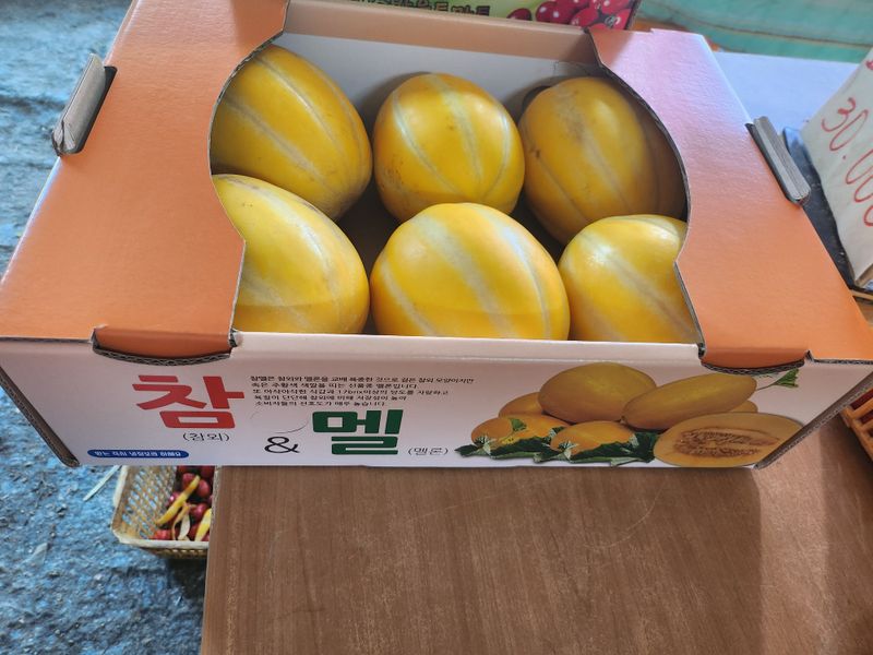 장터 상품 [참멜(참외메론)6kg] 썸네일