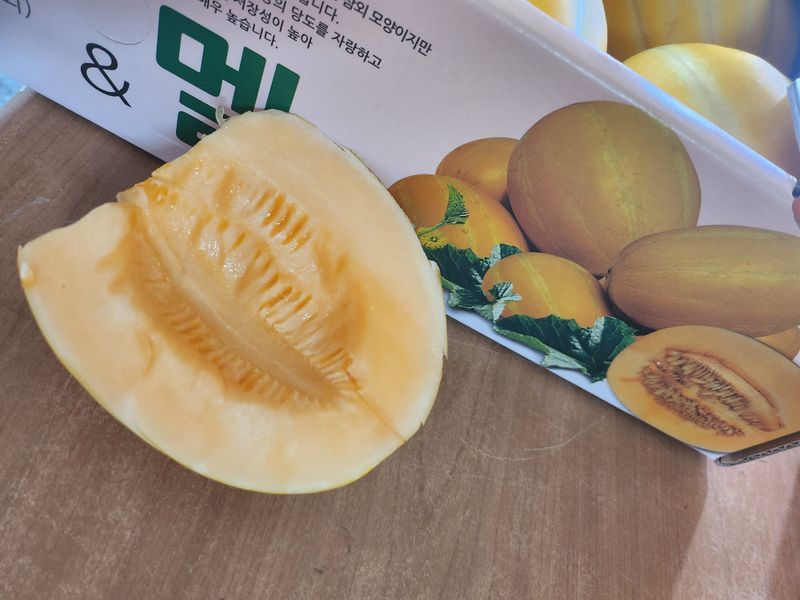 덕촌농원님의 장터 판매 상품 [참멜(참외메론)6kg] 첨부 사진