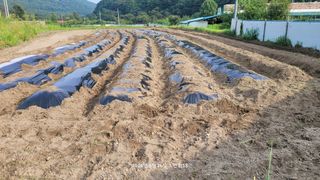 송명자님의 자유주제 · 자유게시판 작성글 사진