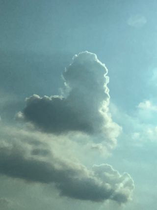 쌍둥이네빠끔살이님의 💚우리 동네 자랑하기 · 참여글 작성글 사진