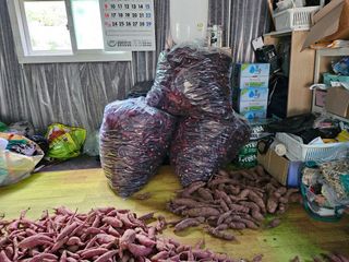 늘항상한결님의 자유주제 · 자유게시판 작성글 사진