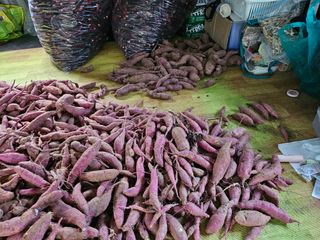 늘항상한결님의 자유주제 · 자유게시판 작성글 사진