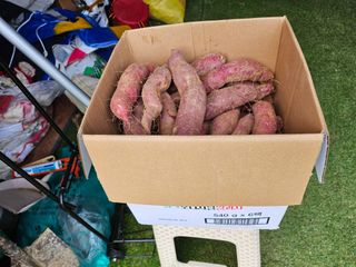 늘항상한결님의 자유주제 · 자유게시판 작성글 사진